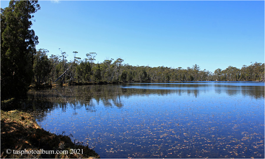 Lake McCoy